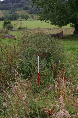 IMGP9748.JPG