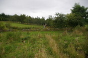 IMGP9757.JPG