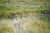 Ruin3_FacingSW_2of4.jpg