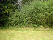 Burghfield Planning Record 12.8.08 032.JPG