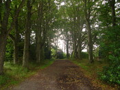 Burghfield Planning Record 12.8.08 064.JPG