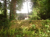 Burghfield Planning Record 12.8.08 069.JPG