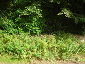 Burghfield Planning Record 12.8.08 070.JPG