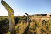 DSC_2651.jpg