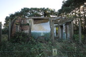 DSC_2765.jpg