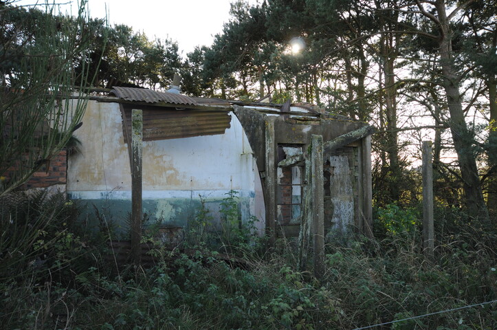 DSC_2767.jpg