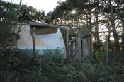 DSC_2767.jpg