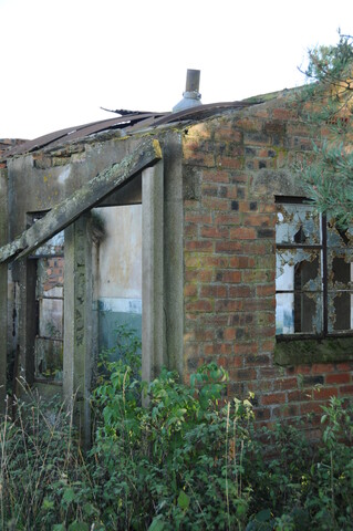 DSC_2770.jpg