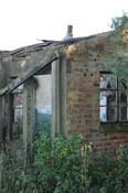 DSC_2770.jpg
