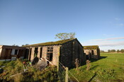 DSC_2601.jpg