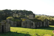 DSC_2619.jpg