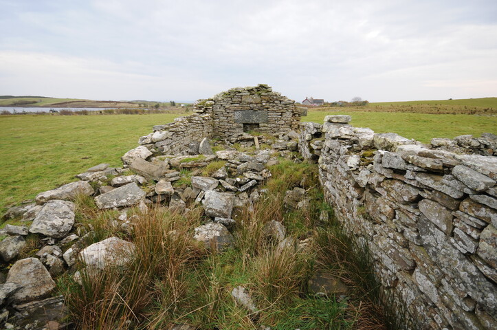 DSC_2893.jpg
