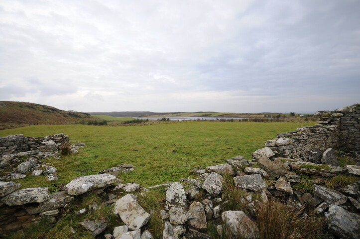DSC_2894.jpg