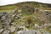 DSC_2896.jpg