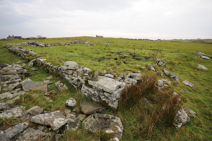 DSC_2901.jpg