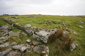DSC_2901.jpg