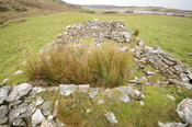 DSC_2905.jpg