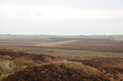 DSC_2907.jpg