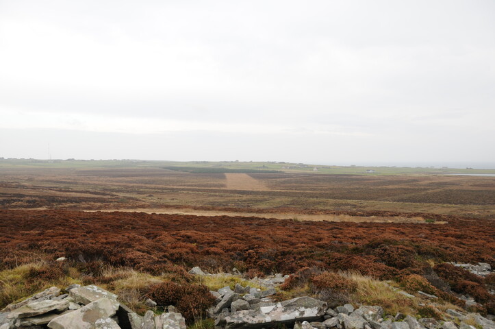 DSC_2910.jpg