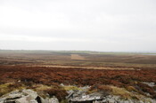 DSC_2910.jpg