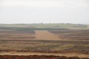 DSC_2912.jpg