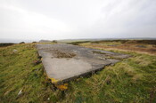 DSC_2929.jpg