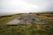 DSC_2930.jpg