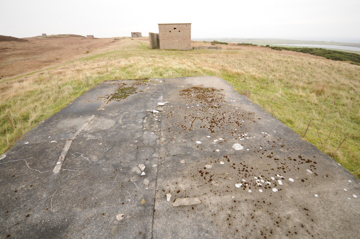 DSC_2931.jpg