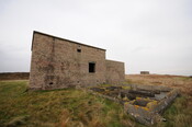 DSC_2933.jpg