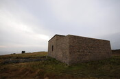 DSC_2936.jpg