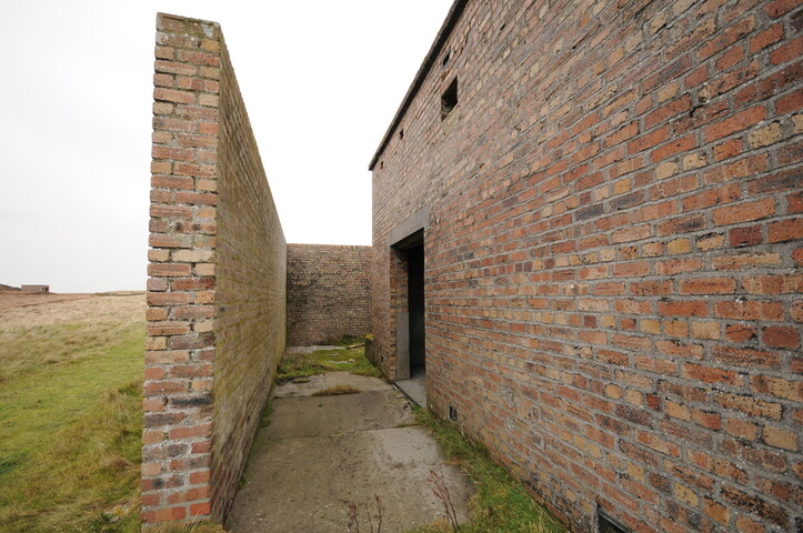 DSC_2938.jpg