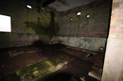 DSC_2939.jpg