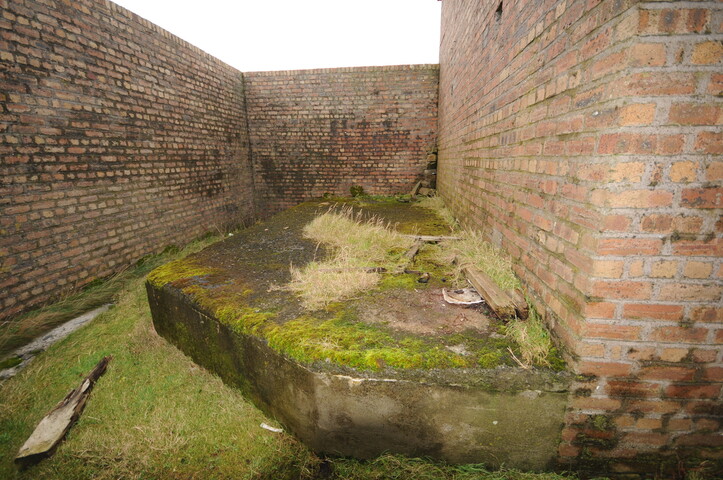 DSC_2941.jpg