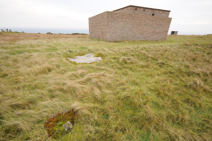 DSC_2943.jpg