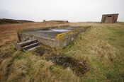 DSC_2944.jpg