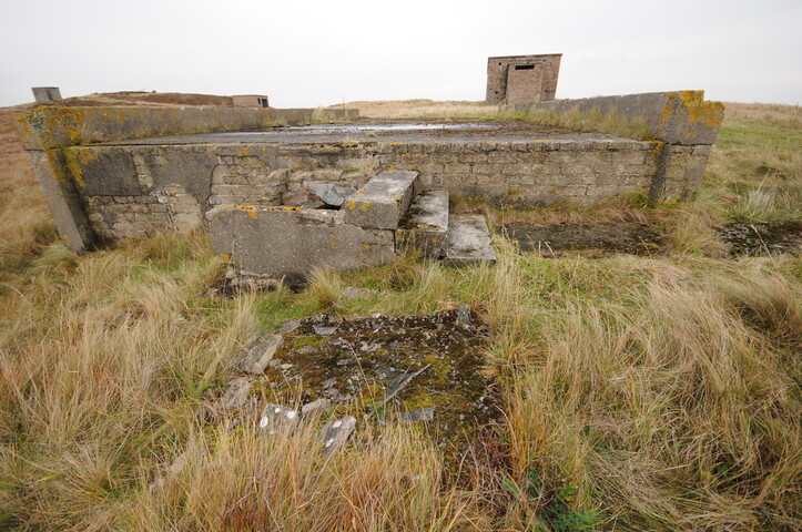 DSC_2945.jpg