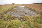 DSC_2946.jpg