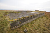 DSC_2947.jpg