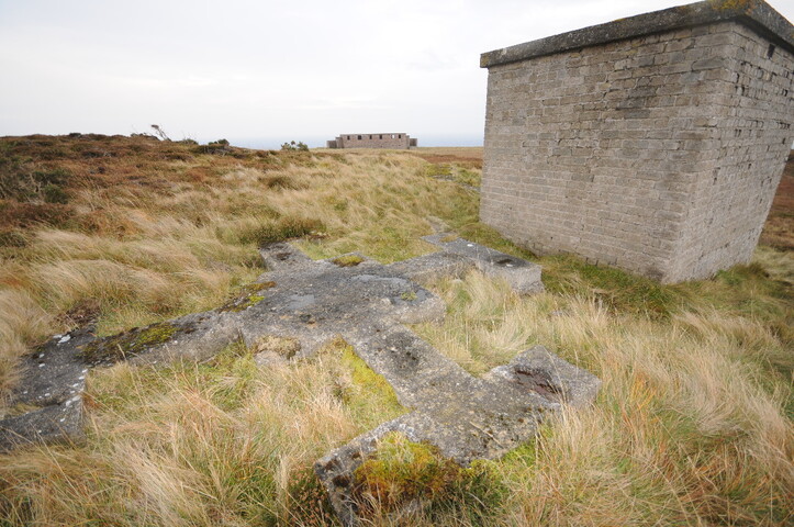 DSC_2971.jpg