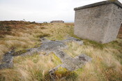 DSC_2971.jpg