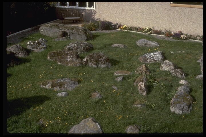 37.JPG