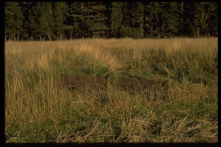 40.JPG