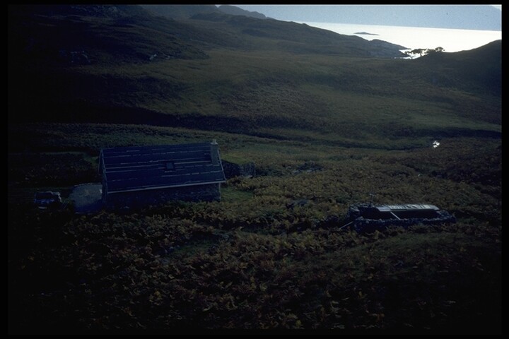 71.JPG