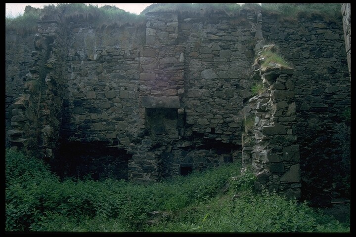 85.JPG