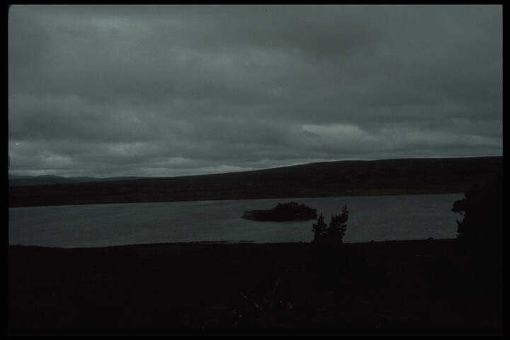91.JPG