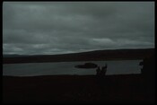 91.JPG