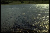 93.JPG