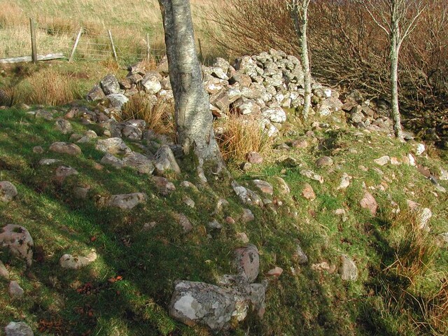 Site16.jpg