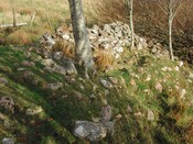Site16.jpg