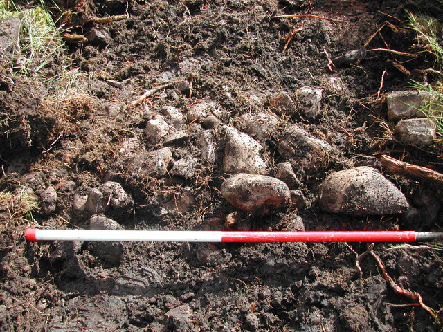 13. Trench 1.JPG